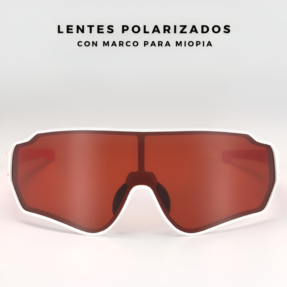 Lentes 10162 polarizados Rockbros